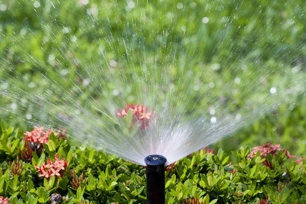 Sprinkler System Installation Sprinkler System Installation