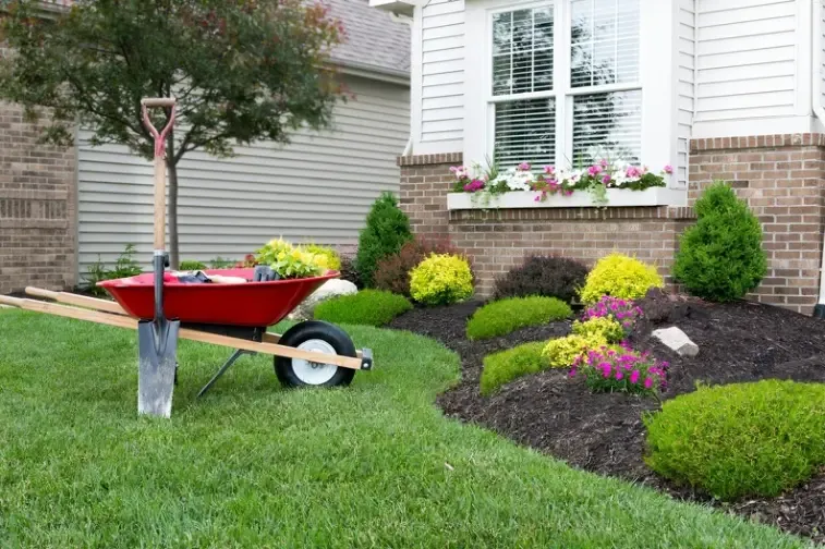 Affordable Yard Cleanup Federal Way WA
