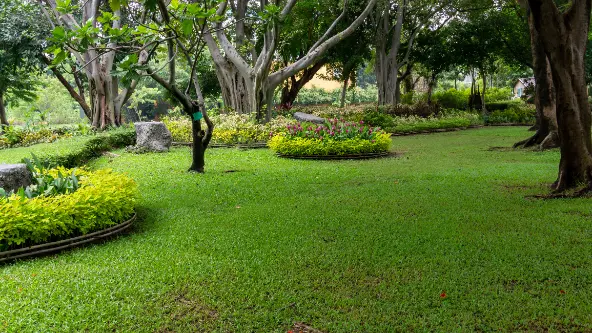 Common Challenges In Landscaping Maintenance Solutions Federal Way WA