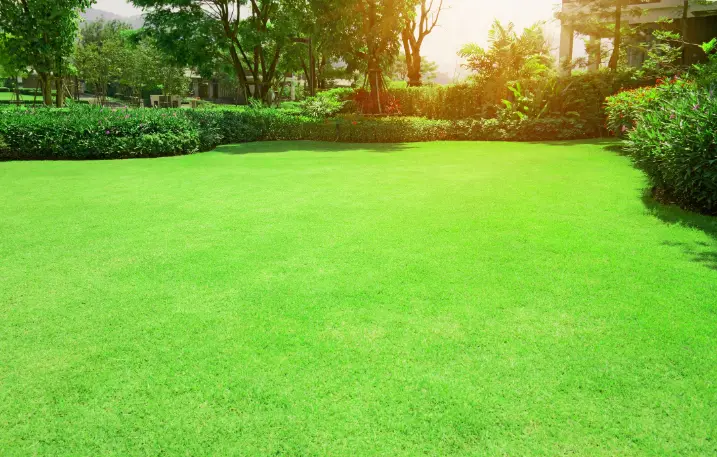 Common Challenges In Landscaping Maintenance Solutions in Federal Way WA