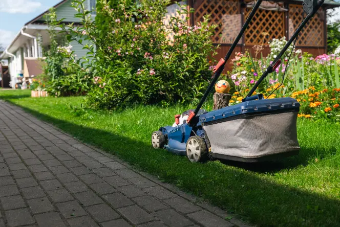 How Regular Maintenance Enhances Landscape Appeal Federal Way WA