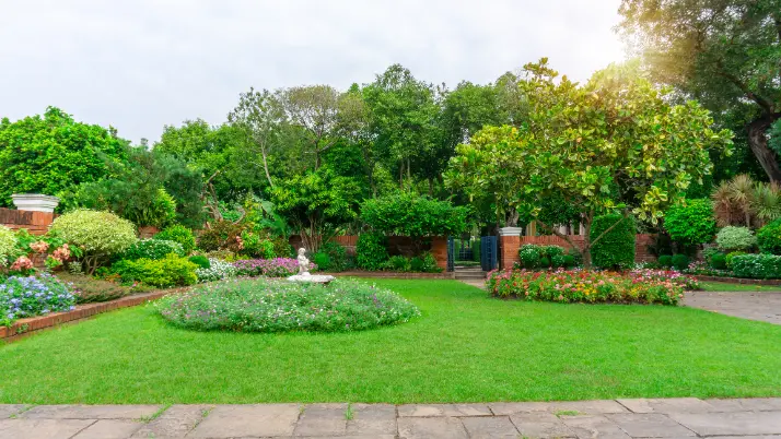 How Regular Maintenance Enhances Landscape Appeal in Federal Way WA