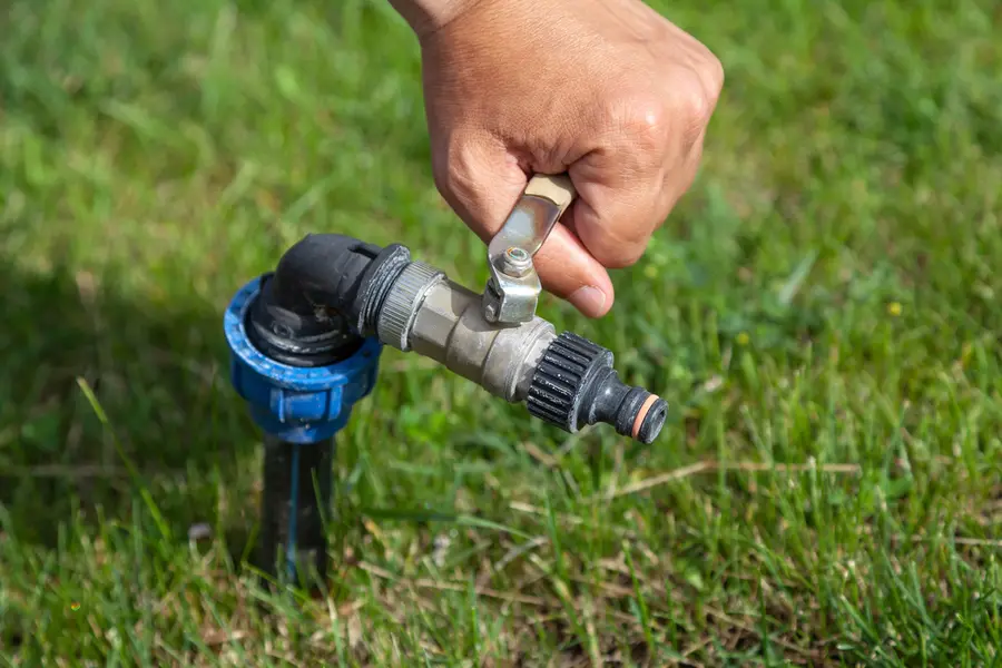 How To Choose The Right Sprinkler System For Your Yard in Federal Way WA