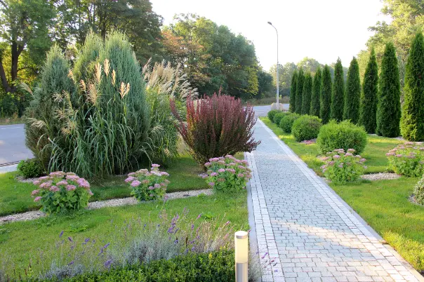 Local Landscaping Maintenance Federal Way WA