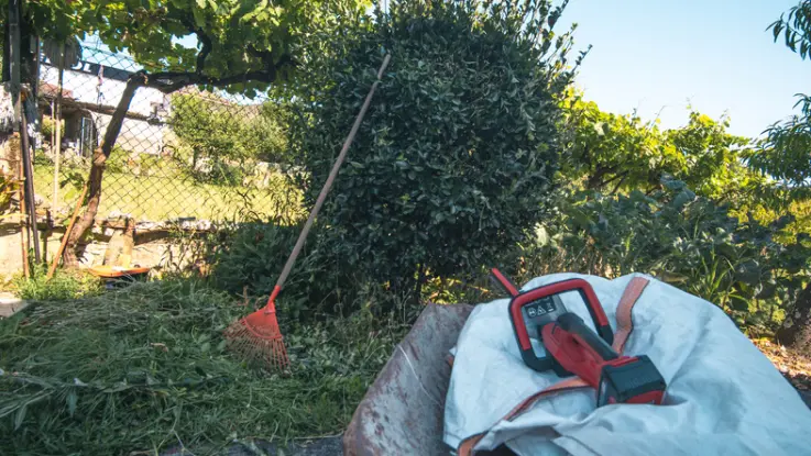 What To Expect During A Professional Yard Cleanup Service Federal Way WA