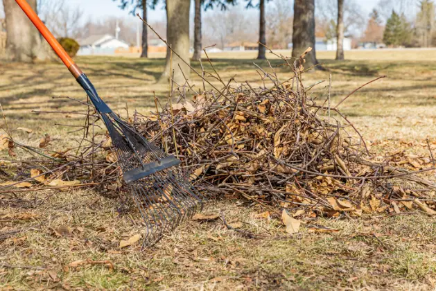 What To Expect During A Professional Yard Cleanup Service in Federal Way WA