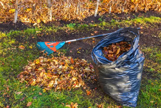 Yard Cleanup Tips To Prepare For Seasonal Changes Federal Way WA