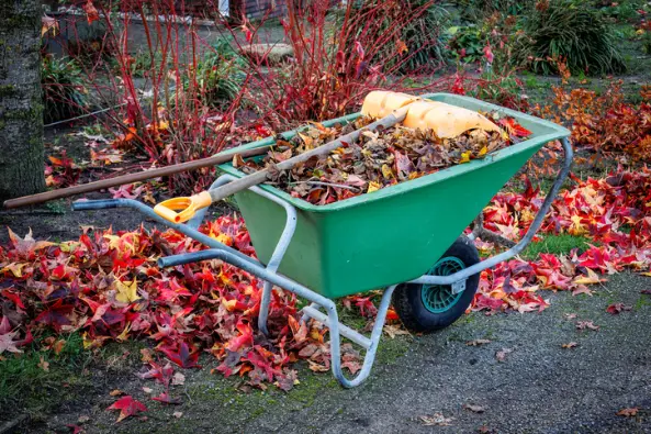 Yard Cleanup Tips To Prepare For Seasonal Changes in Federal Way WA